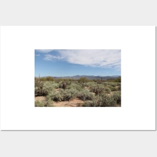 McDowell Mountain Regional Park Posters and Art